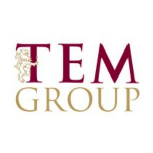 TEM Group Logo